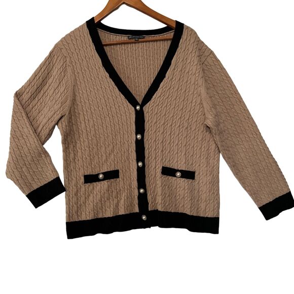 Adrianna Papell Sweaters Adrianna Papell X Long Sleeve Vneck